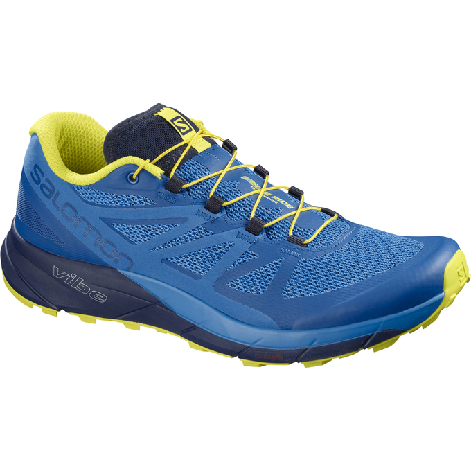 Chaussures De Trail Running Salomon Homme Bleu / Bleu Marine - Salomon SENSE RIDE - France (7865-BIT